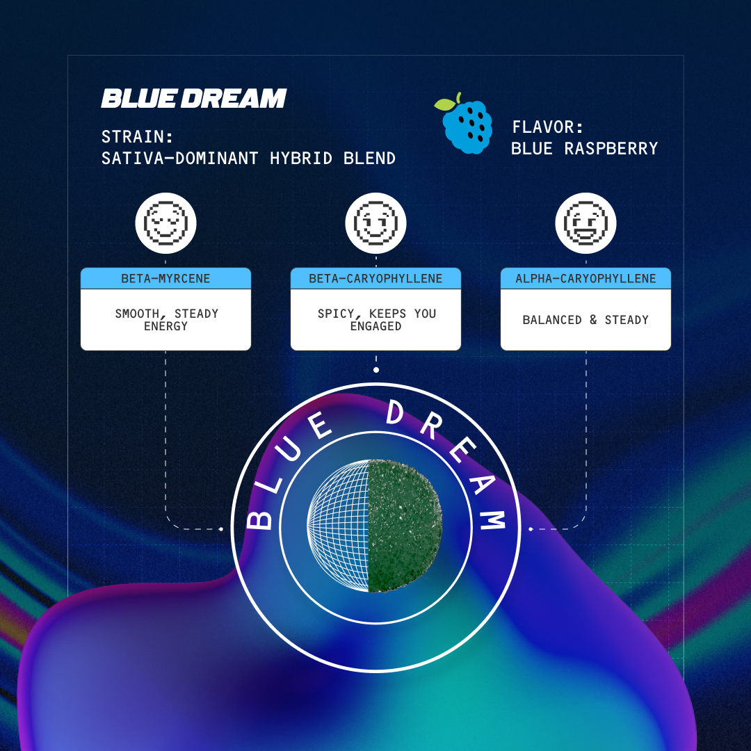 Blue Dream - Sativa-dominant hybrid strain; Flavor: Blue Raspberry; terpenes: Beta-Myrcene, Beta-Caryophyllene