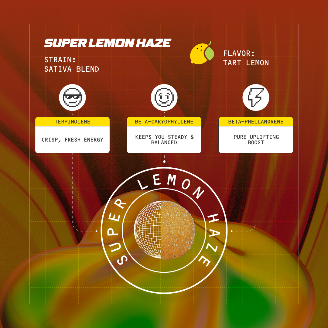 SUPER LEMON HAZE — STRAIN: SATIVA BLEND; FLAVOR: TART LEMON; TERPINOLENE, BETA-CARYOPHYLLENE, BETA-PHELLANDRENE terpenes.